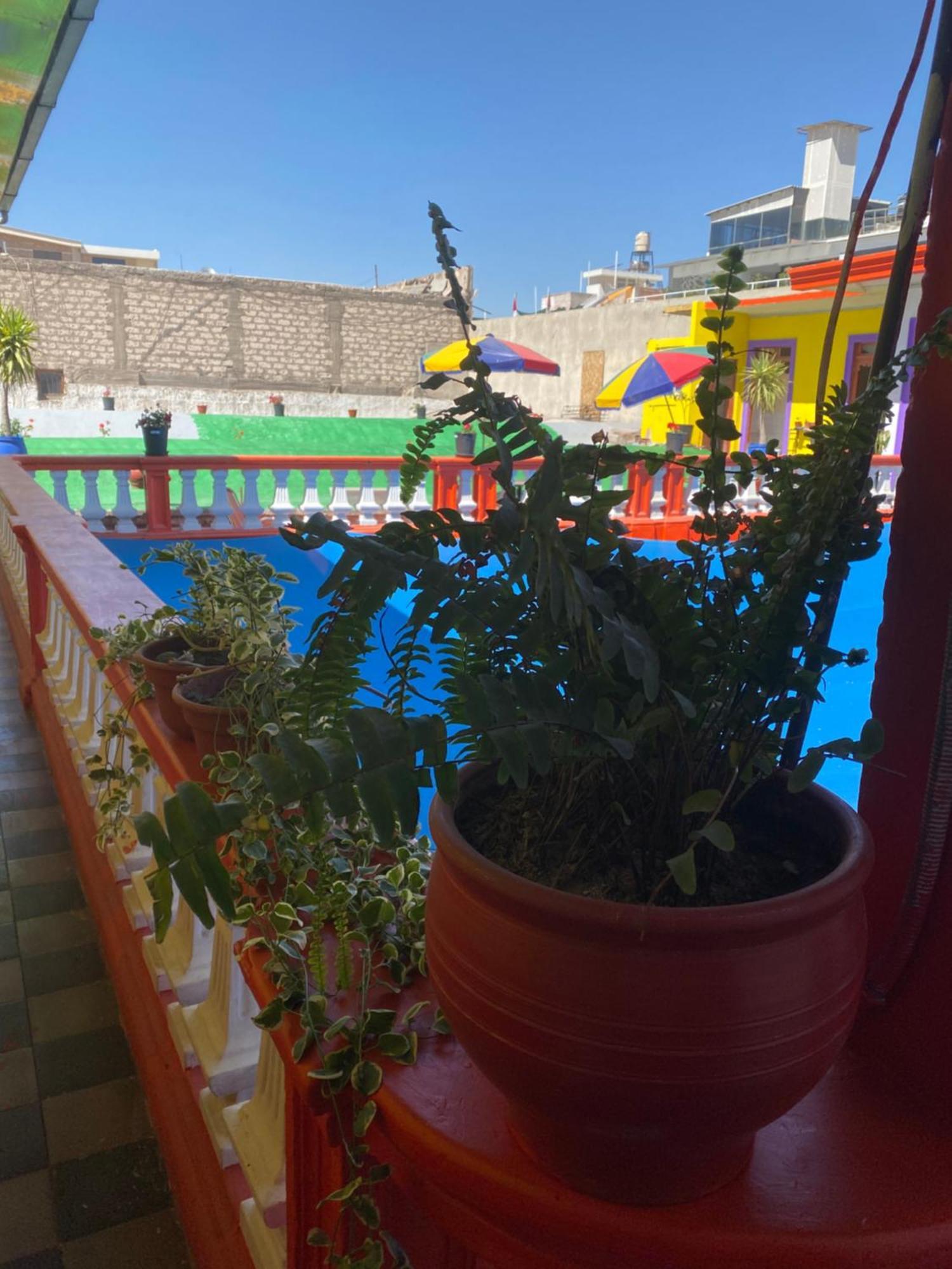 Pusary Hostel Arequipa Esterno foto